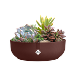 jazz bowl 28cm dark burgundy`